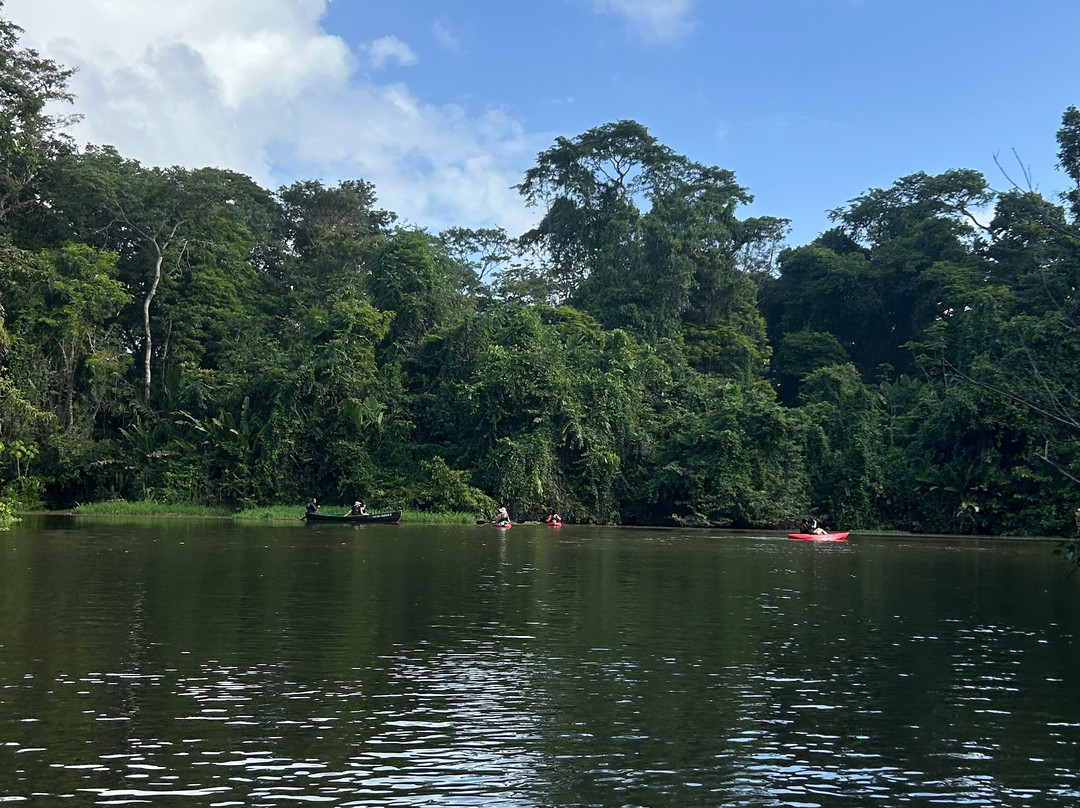Carlota Tours Tortuguero Français-托图杰多必去景点