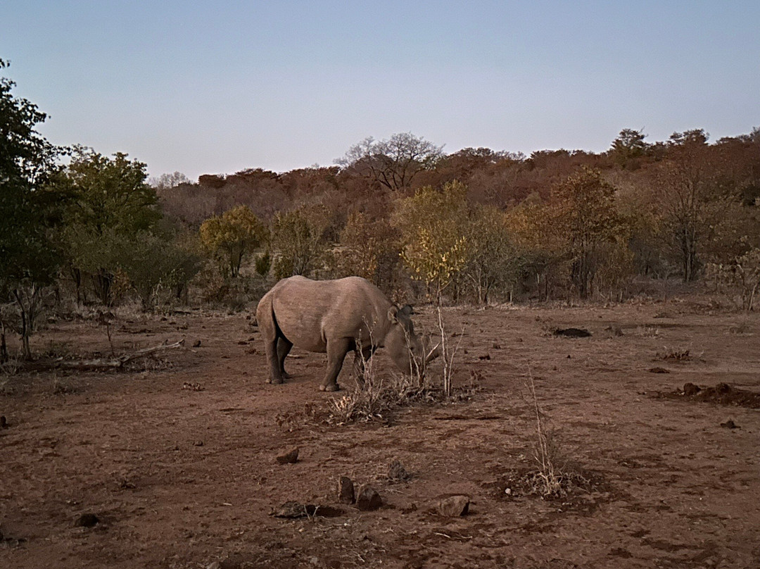 Victoria Falls Private Game Reserve景点图片