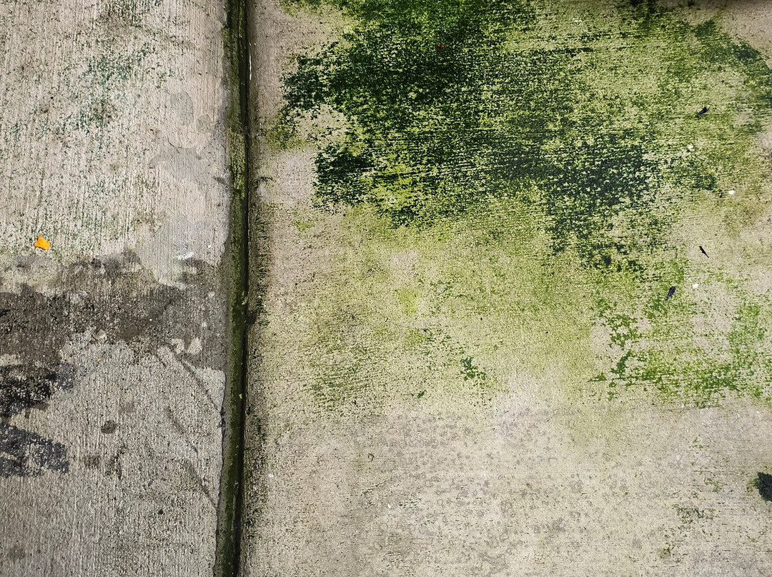 Comfort Inn & Suites Dalton主图