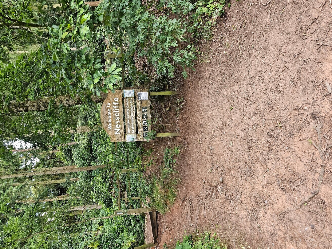 Nesscliffe Country Park-Nesscliffe必去景点
