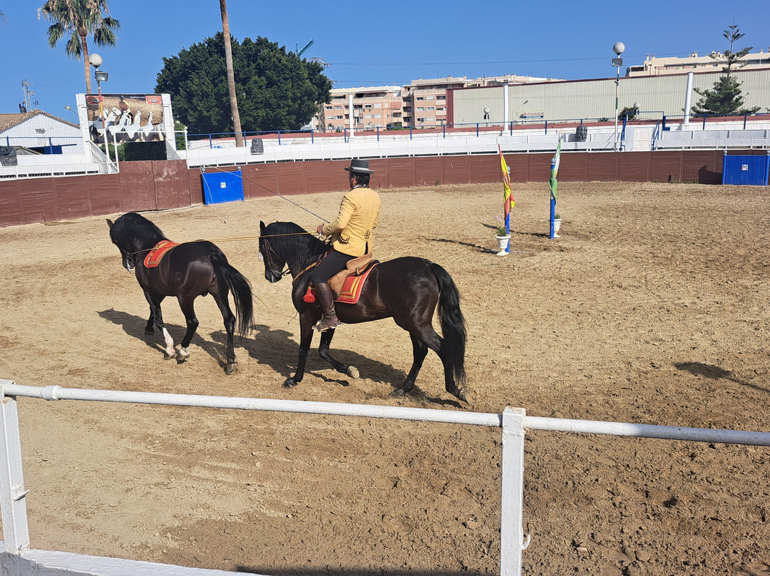 El Cartujano-米哈斯必去景点