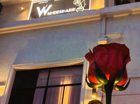 W.sheeshark-上海市必去景点