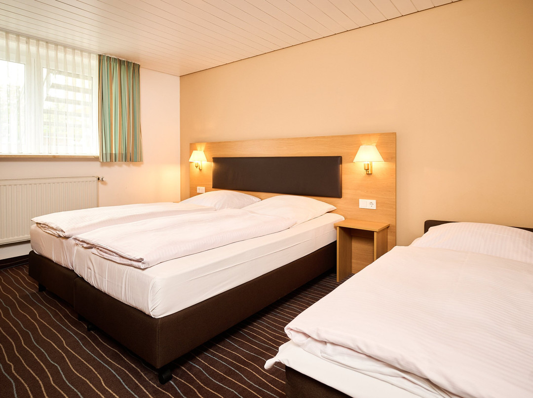 Hotel Schneider主图