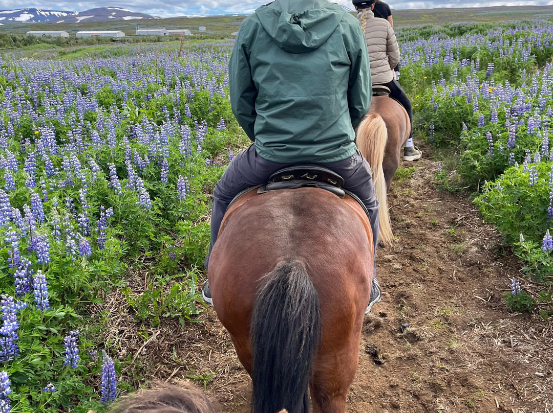 Saltvik-胡萨维克必去景点