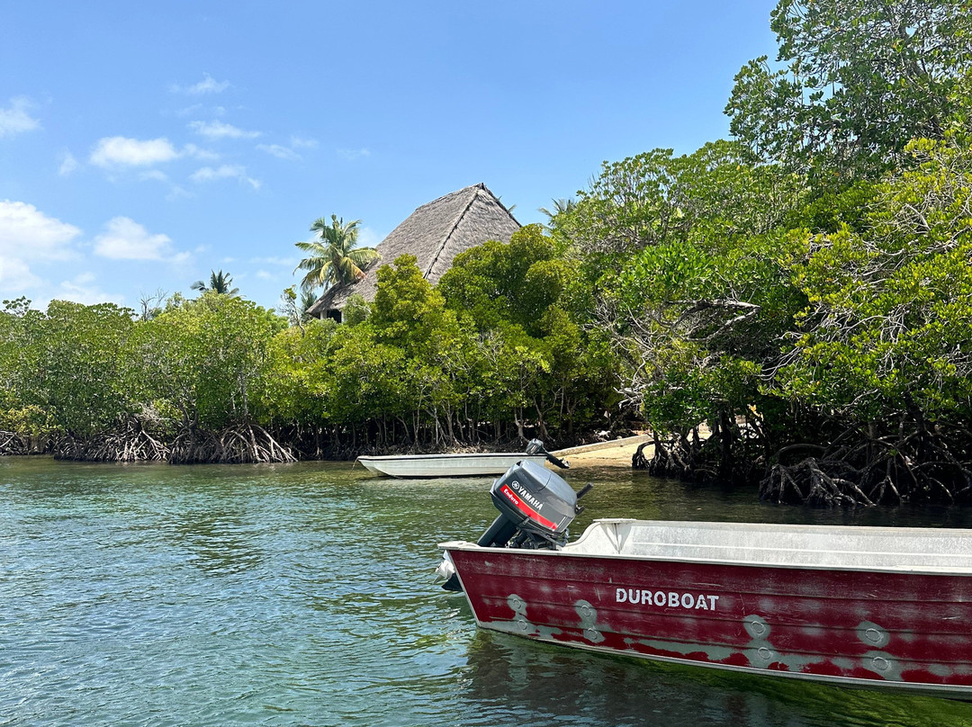 Cambiaso  kenya Safari-瓦塔木必去景点