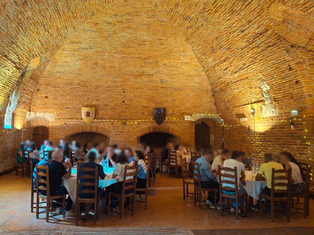 Chateau de Terrides主图