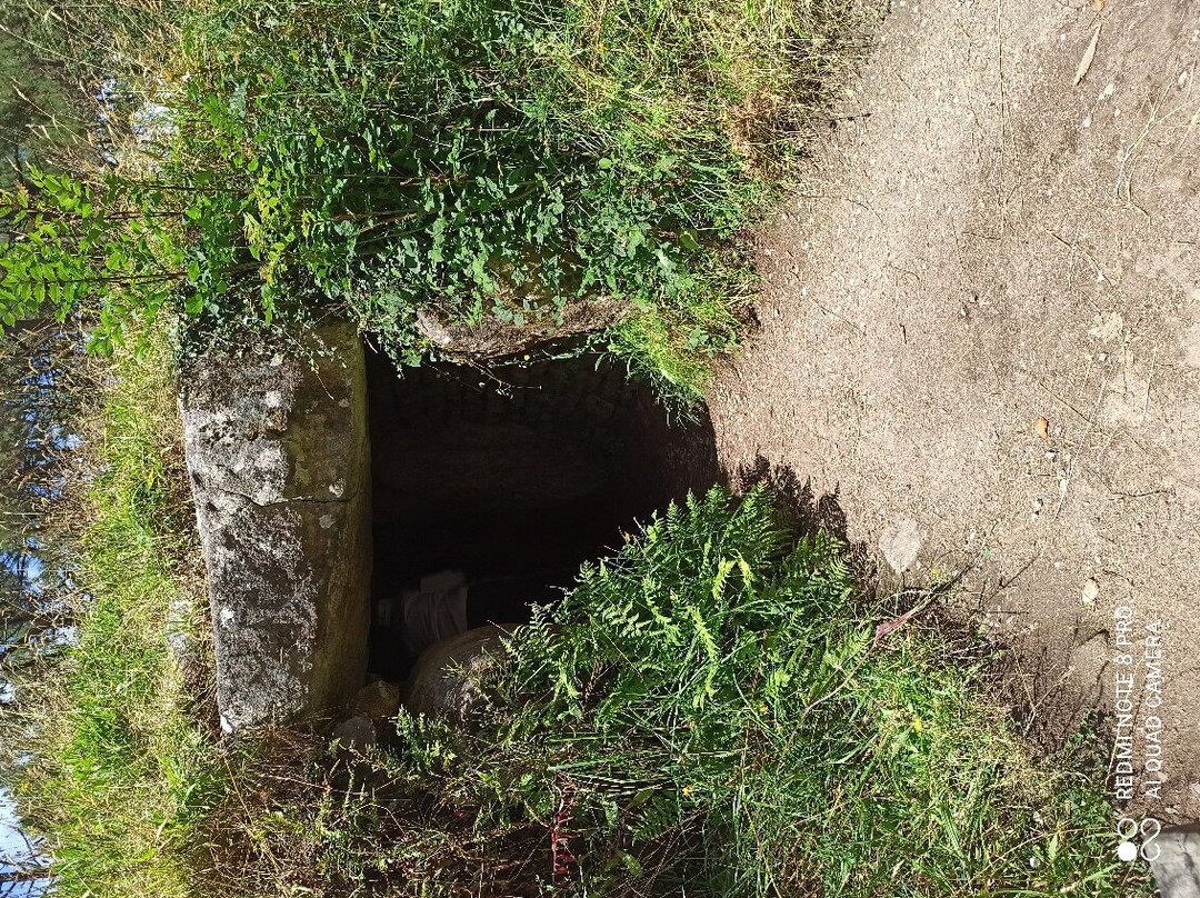 Tumulus et Tombelles de Kernours景点图片