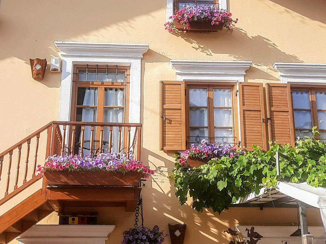 Hotel Salvanel主图