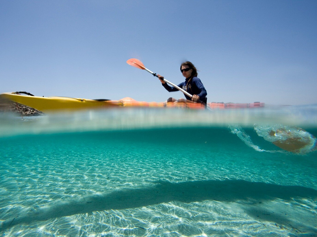 DIA COMPLERT ESPORTS NAUTICS-Fornells必去景点