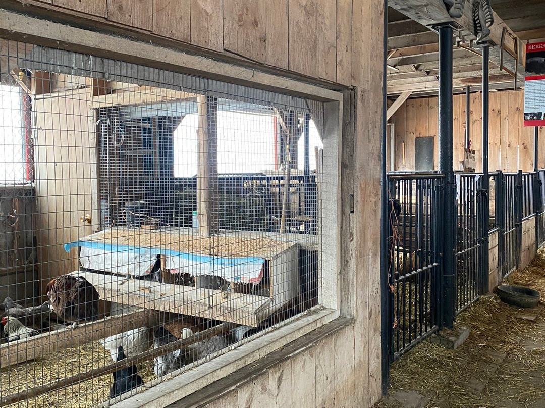 Quinn Farm-Notre-Dame-de-l'Ile-Perrot必去景点