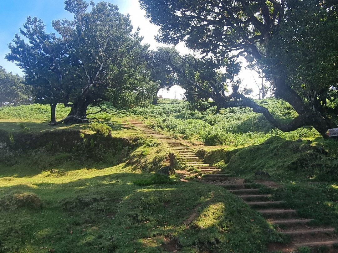 Madeira Mountain Expeditions-沙尔必去景点