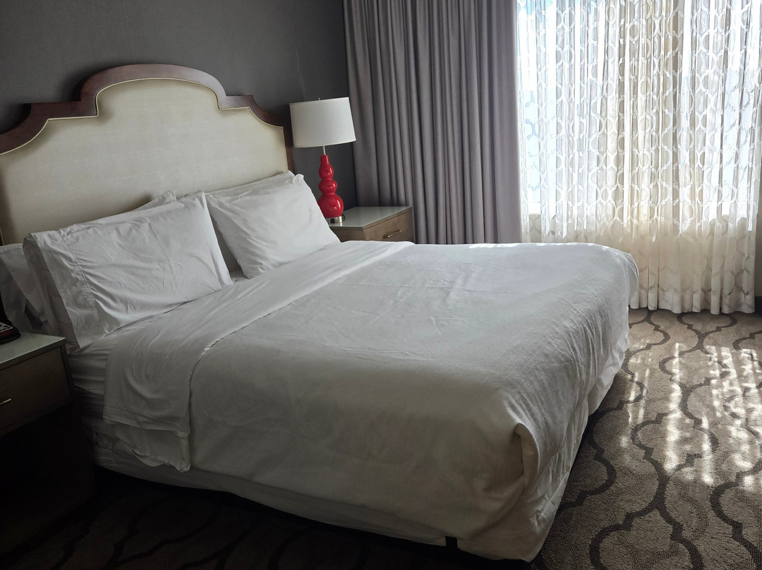 Embassy Suites by Hilton Chicago Naperville主图