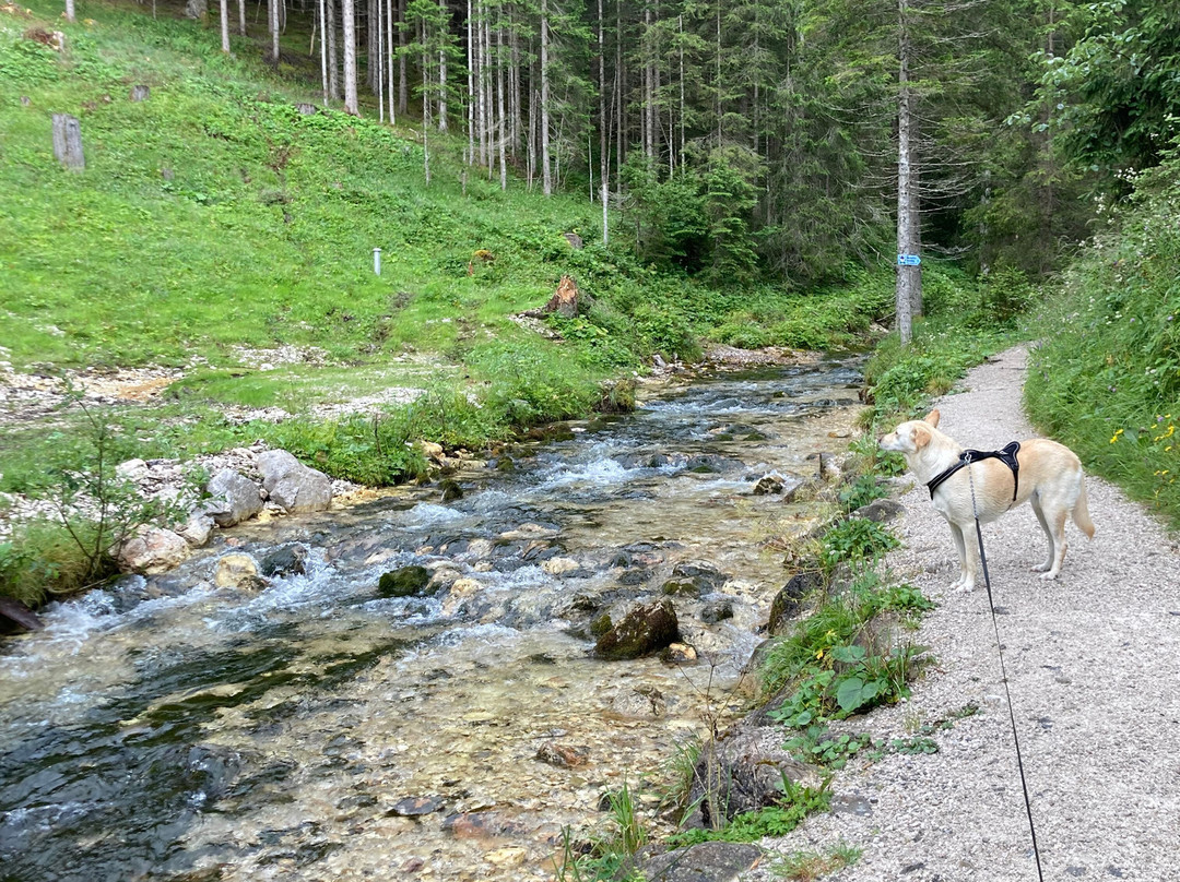 Wasserfall-Erlebnisweg Ehrwald-埃尔森林市必去景点