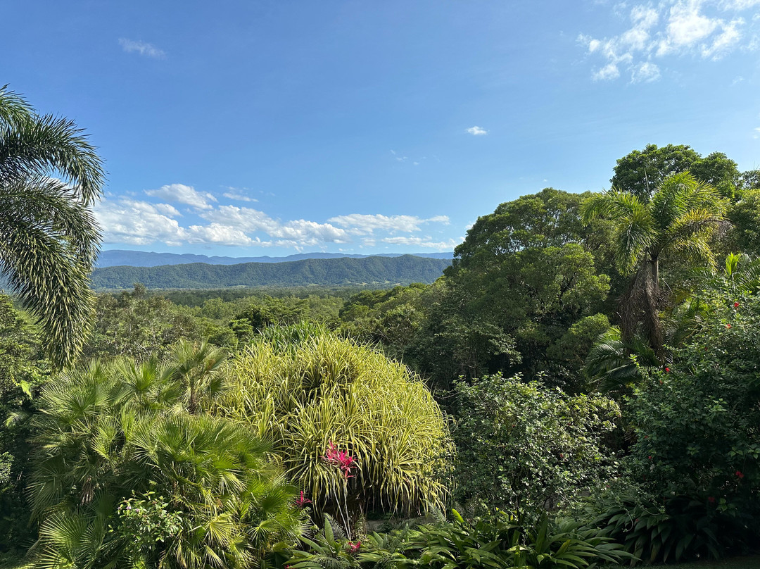 Daintree Manor B&B主图