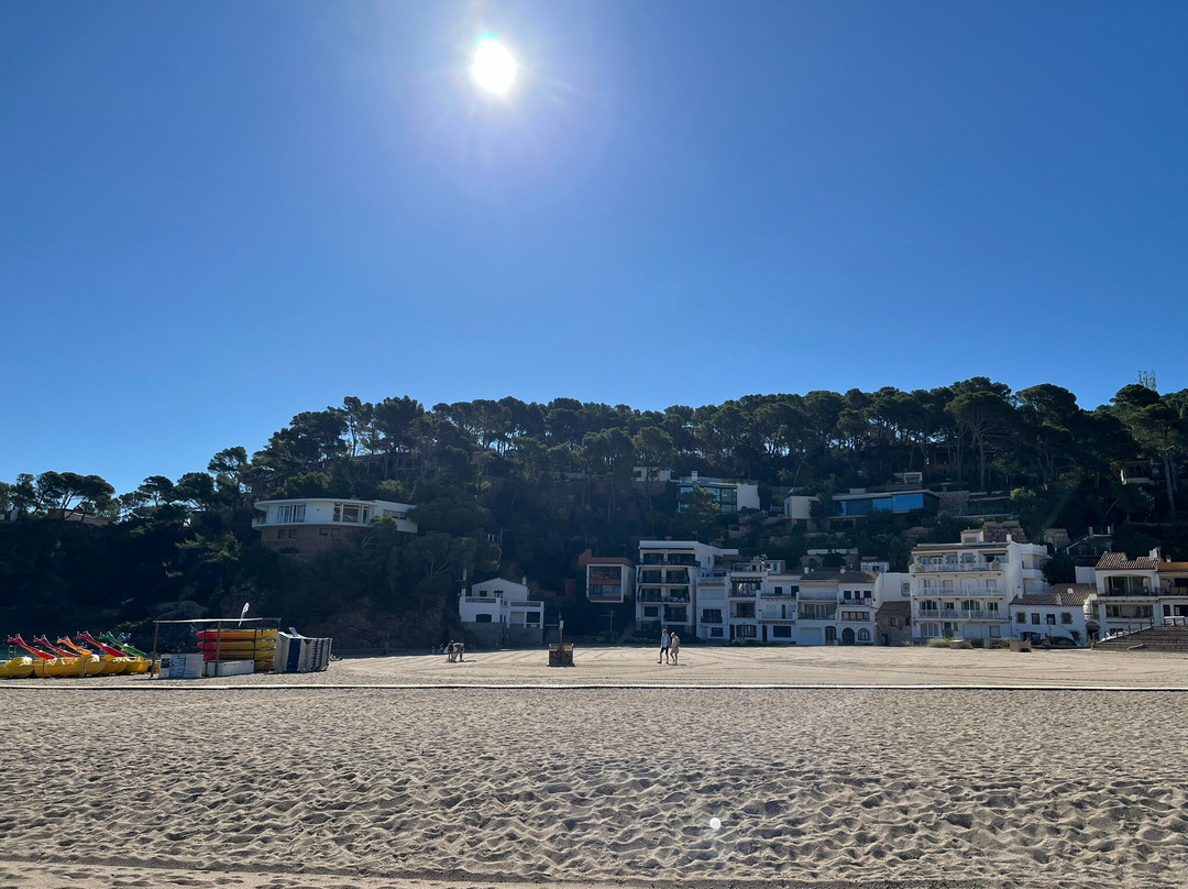 Playa Sa Riera景点图片