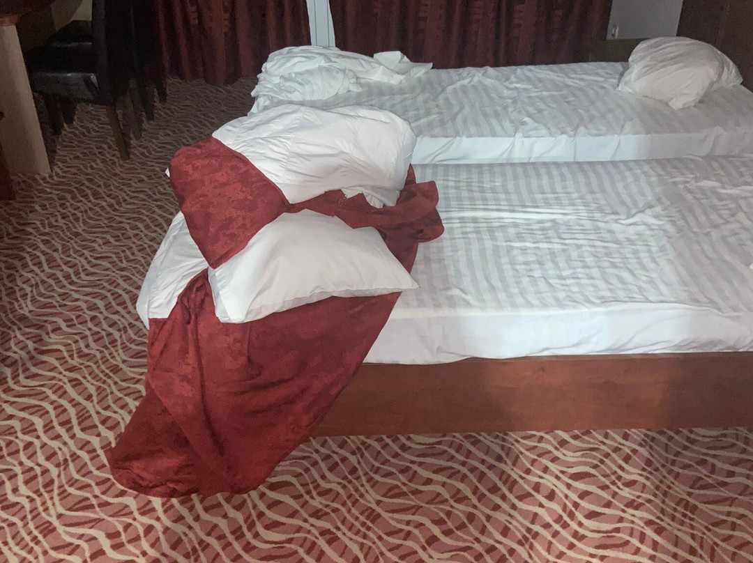 Hotel Flora主图
