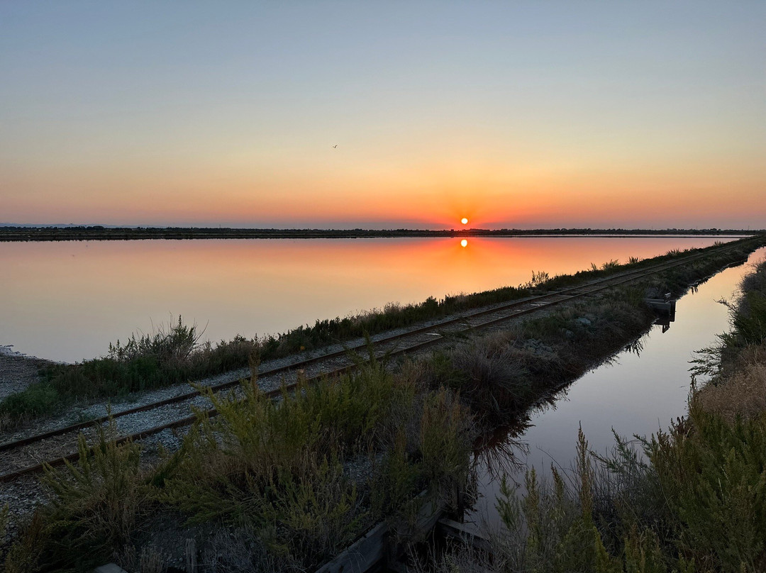 Parco della Salina di Cervia景点图片