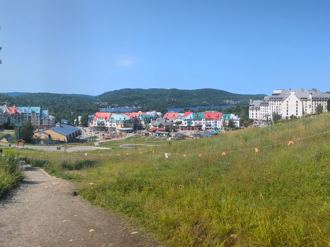 Chateau Beauvallon主图