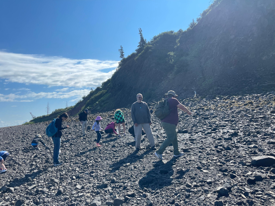 Fundy Treasure Tours景点图片