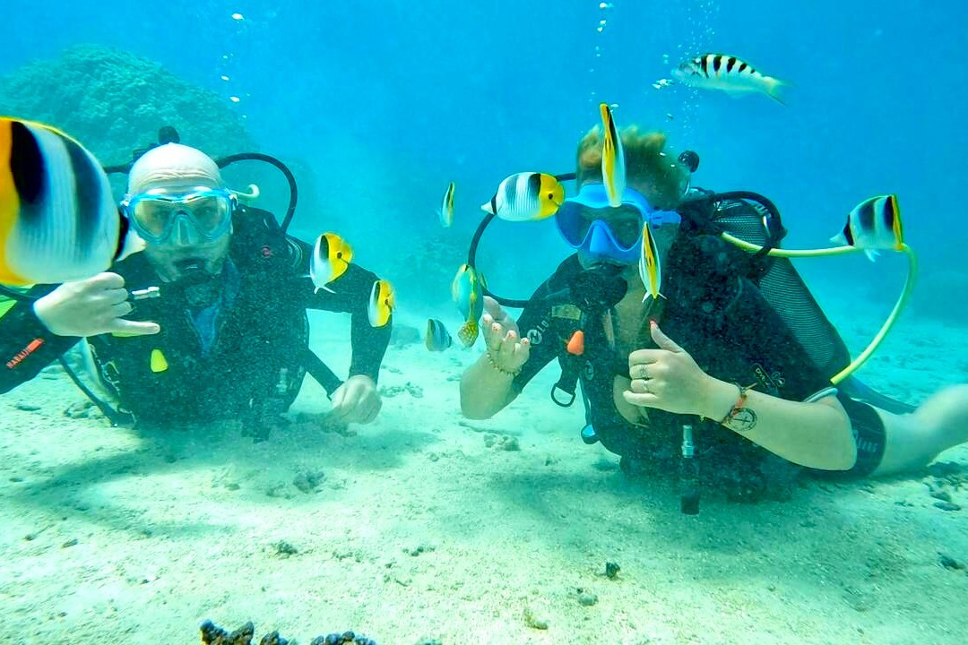 Mahana Dive-Fare必去景点