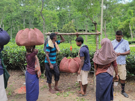 Pathfriend Tour Operator-达卡市必去景点