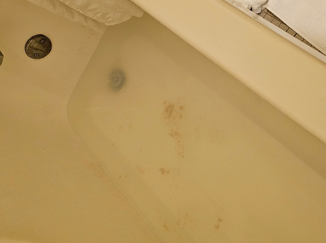 Days Inn & Suites by Wyndham Sutton Flatwoods主图