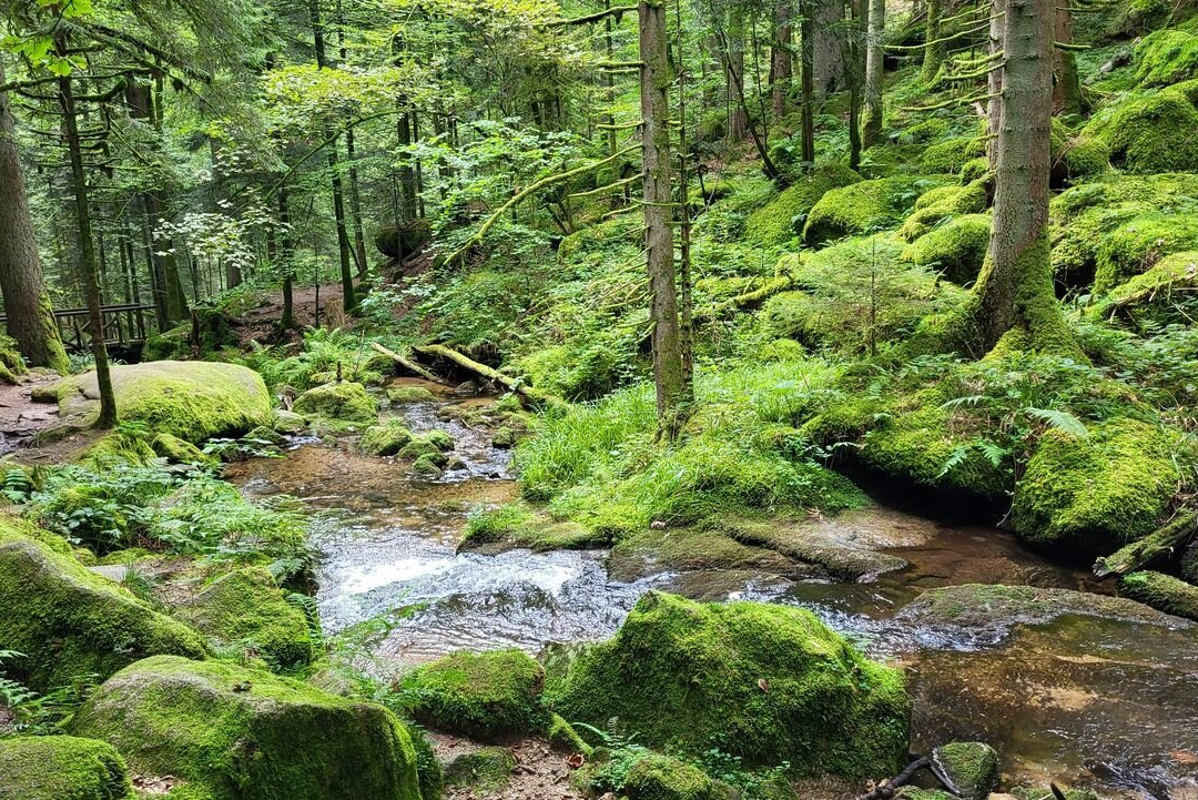 Gertelbach-Wasserfälle-Buehlertal必去景点