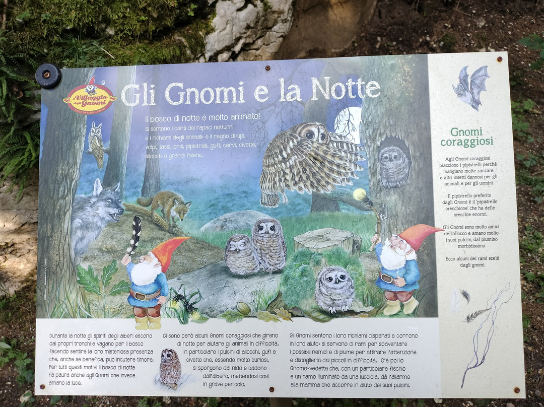Gnomes Village景点图片