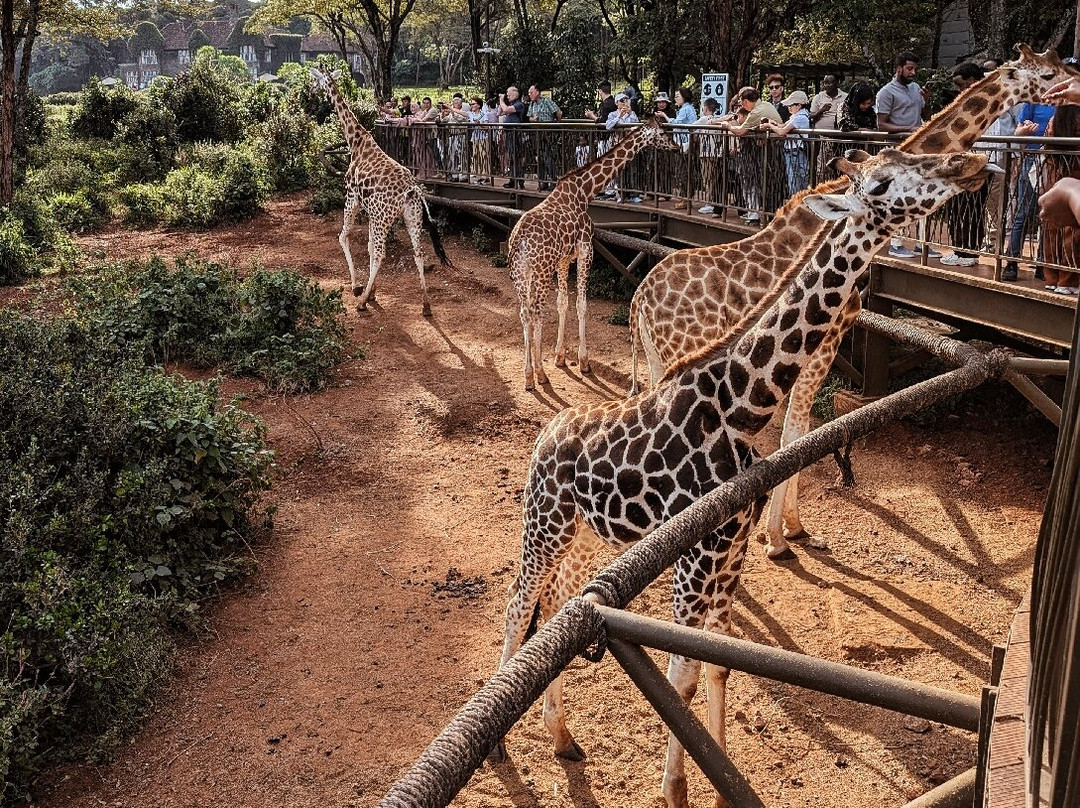 Grand Africa Experiences Ltd景点图片