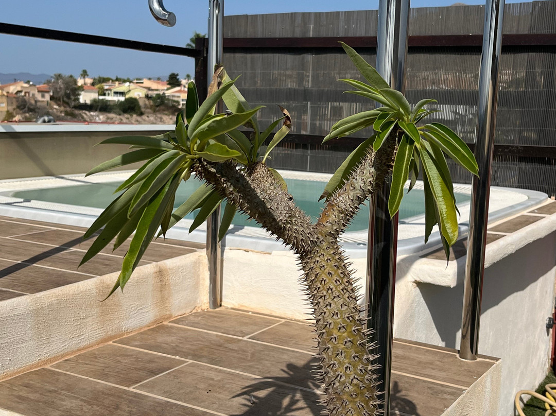 Atrium Hotel & Restaurant主图