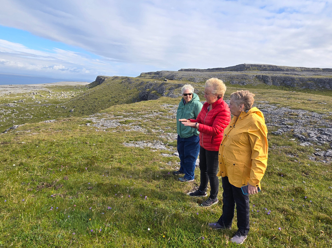 Burren Mountain Tours景点图片