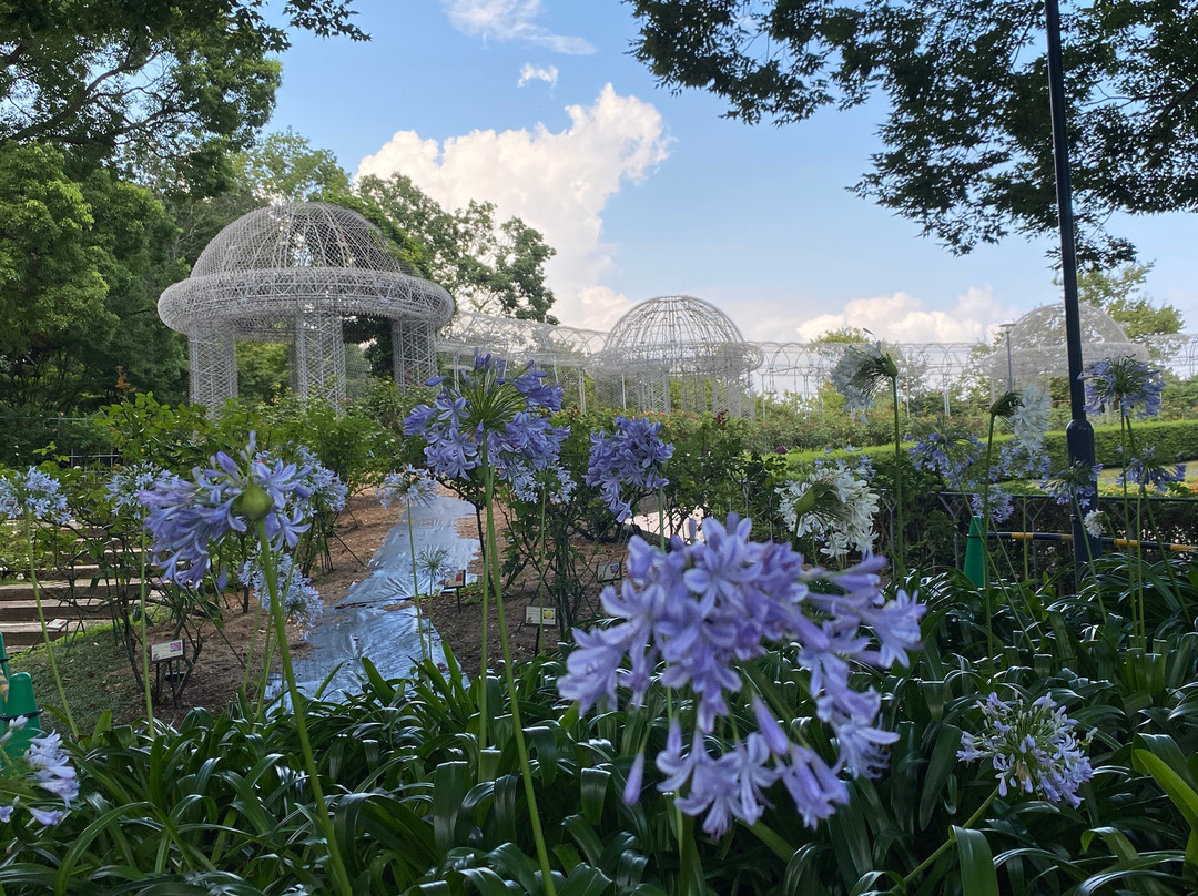 Odawara Flower Garden-小田原市必去景点
