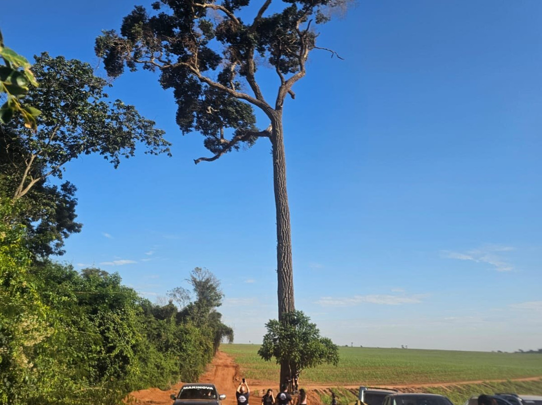 Explorando de 4x4 - Expedições e Ecoturismo-Cidade Gaucha必去景点