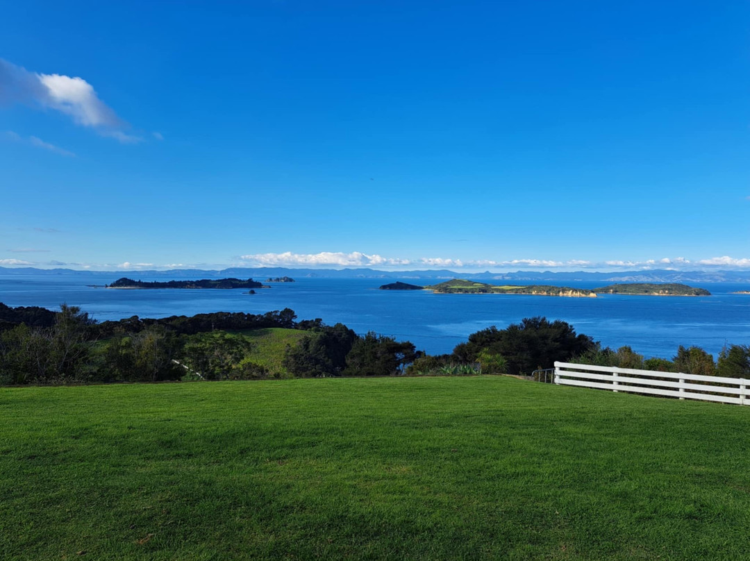 Big Aroha Tours-怀系奇岛必去景点