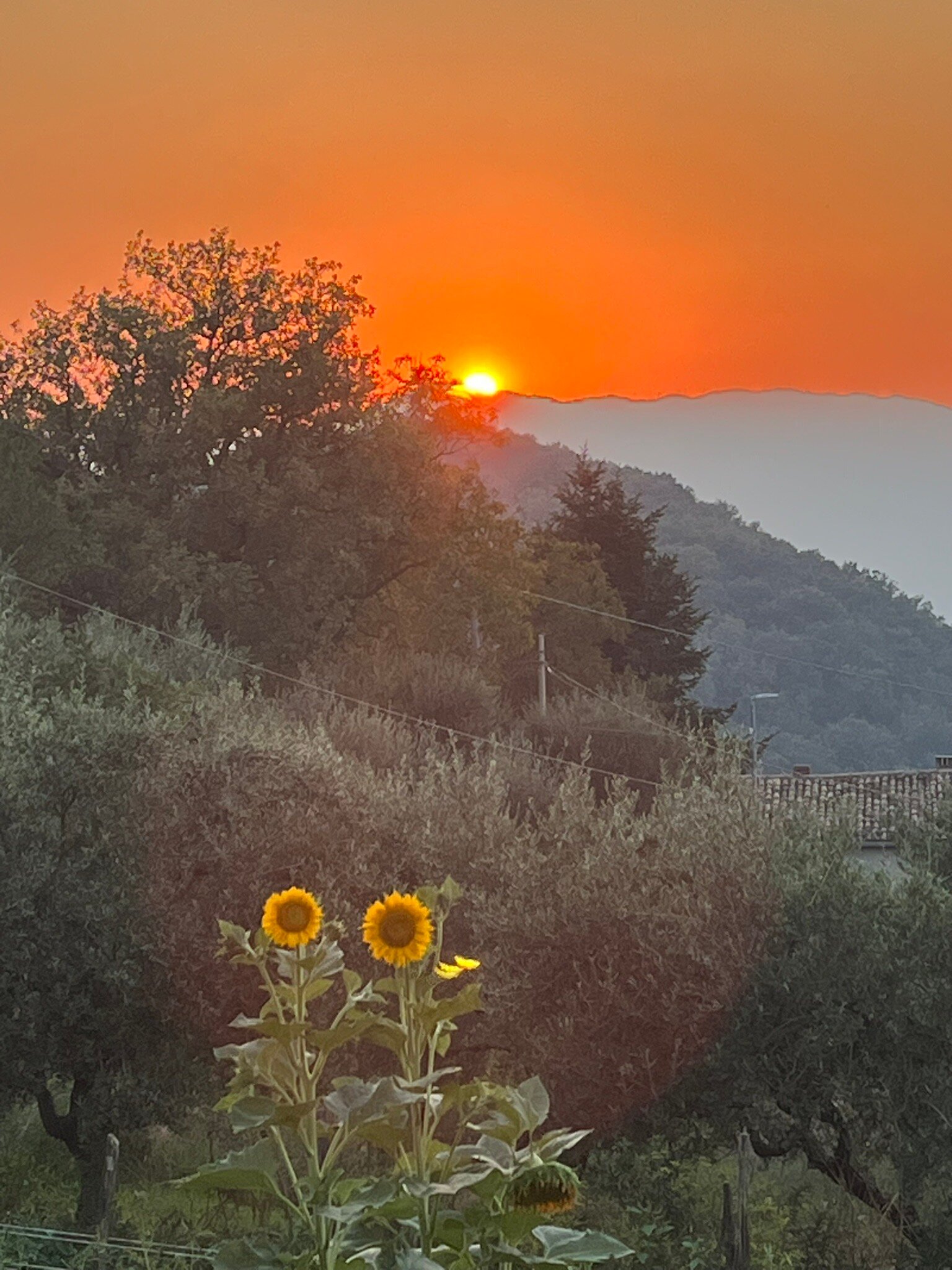 Agriturismo Terra Verde-官方