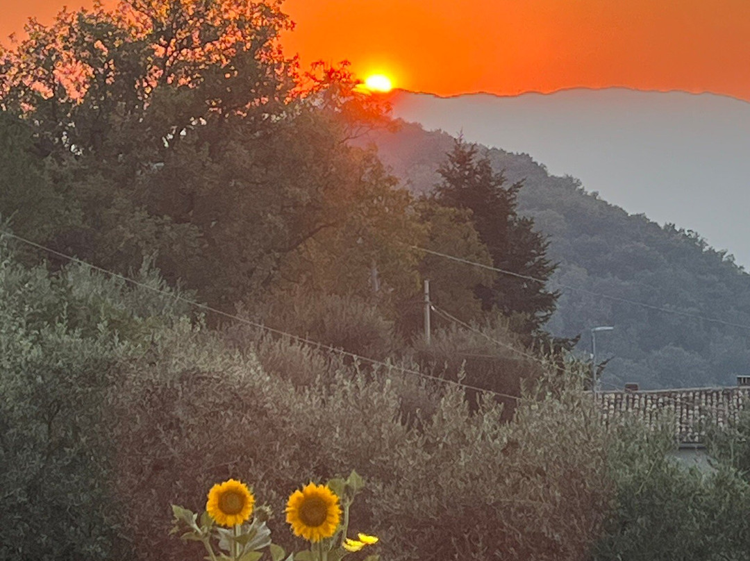 Agriturismo Terra Verde主图