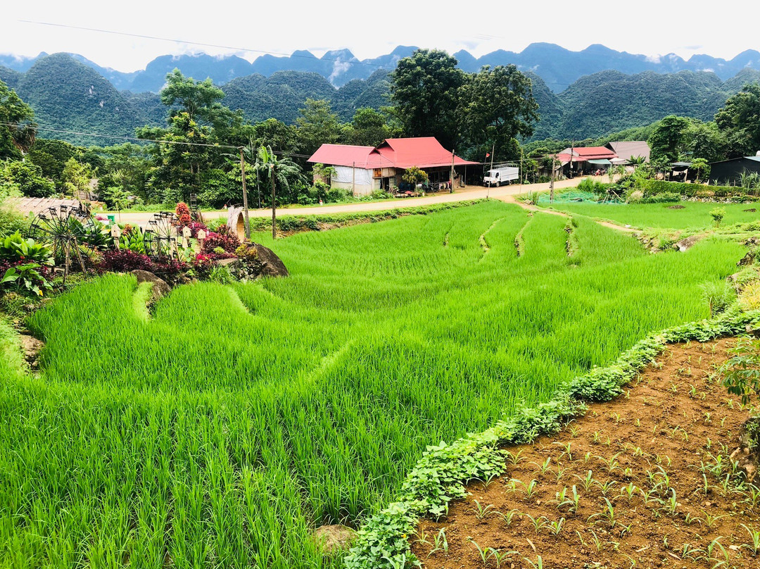 Pù Luông Happy Home