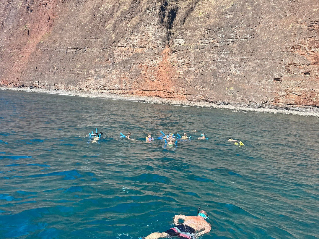 Captain Js Kauai Offshore Adventures-埃里埃利必去景点