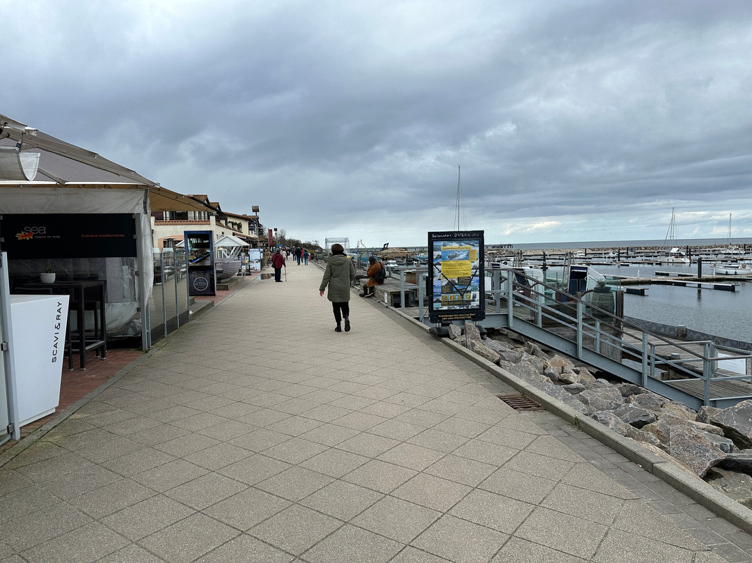 Kuhlungsborn Beach景点图片