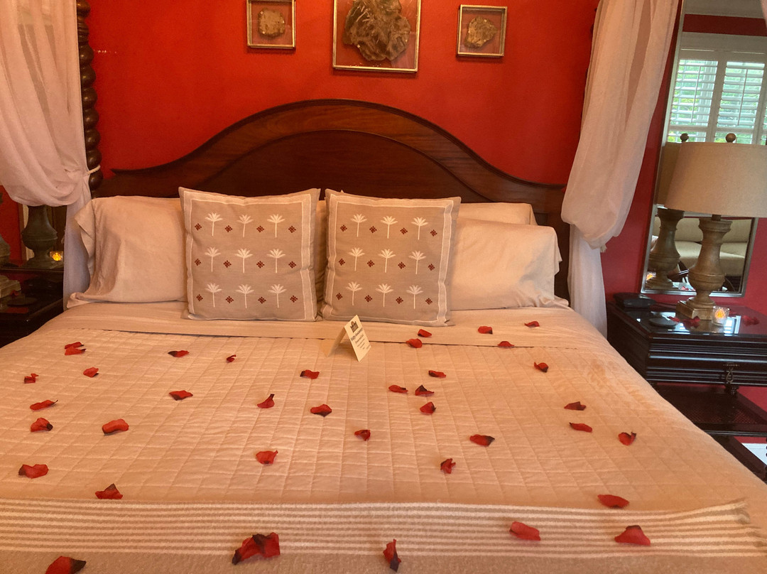 Port D'hiver Bed And Breakfast主图