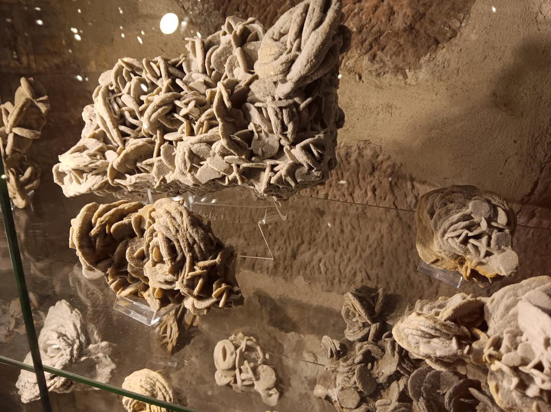 Sandrosenmuseum Buedingen景点图片
