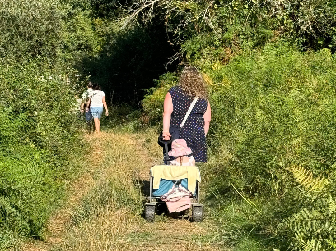Réserve Naturelle Du Marais D'orx景点图片