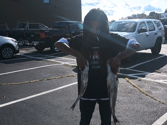 Yankee Fleet - Day Trips-格洛斯特必去景点