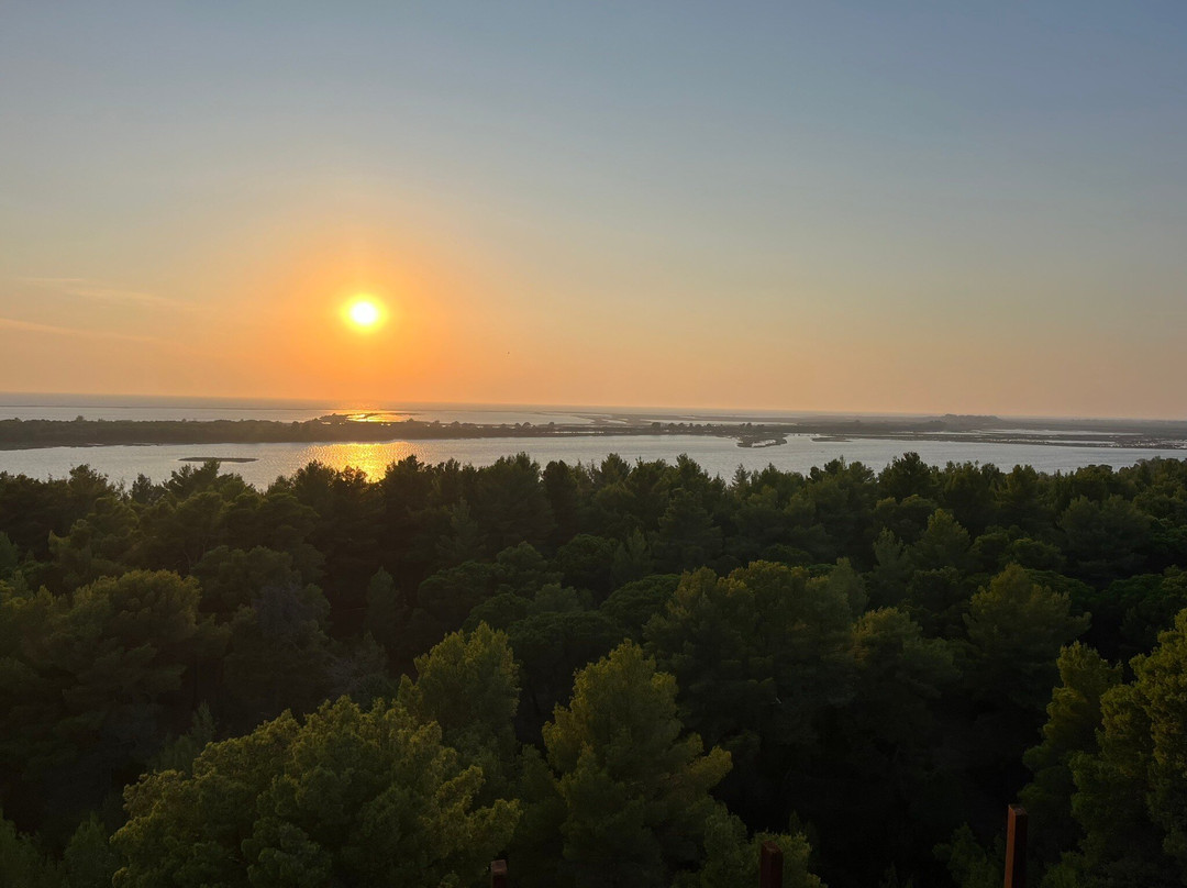 Laguna e Karavastasë-Divjake必去景点