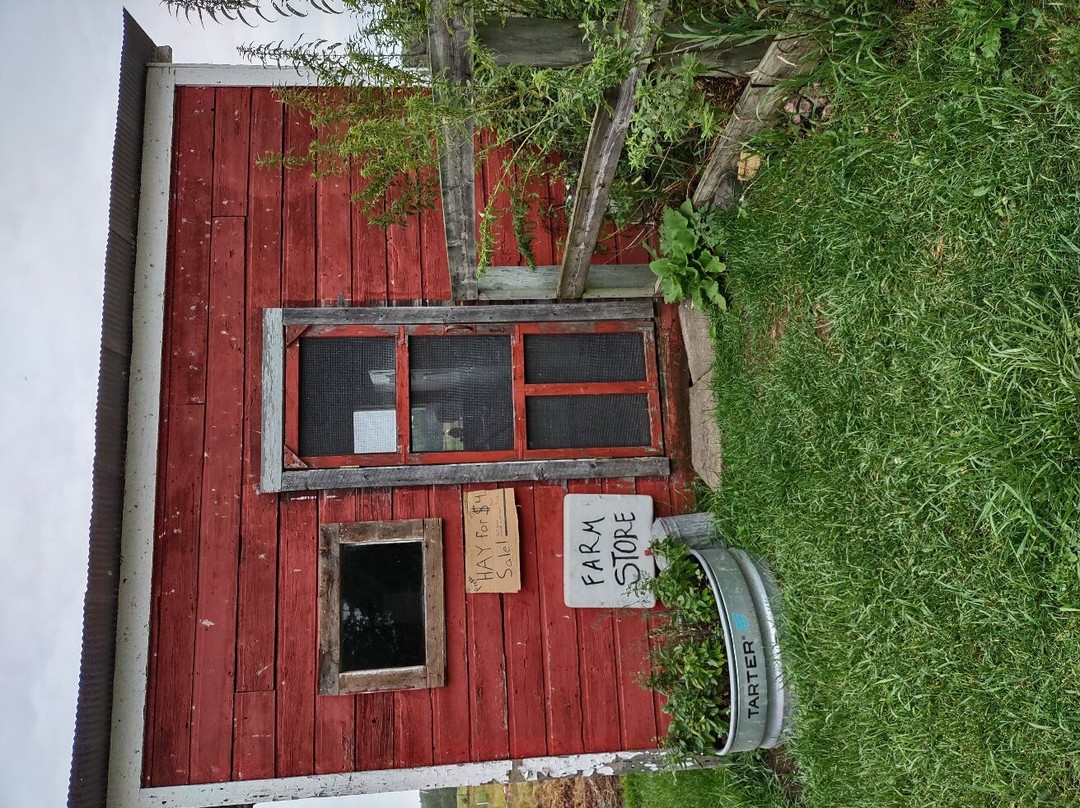 Farm Store景点图片