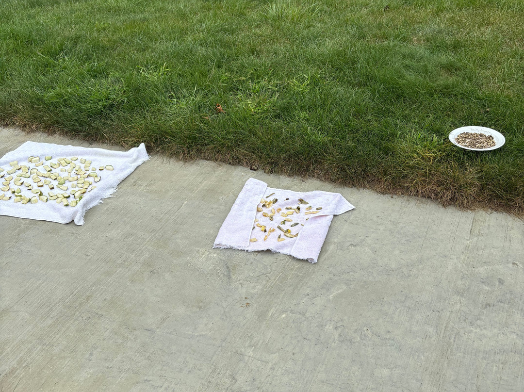 All Seasons Inn & Suites主图