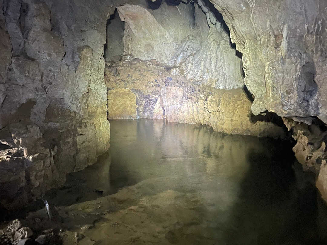 Cavernas del Venado景点图片