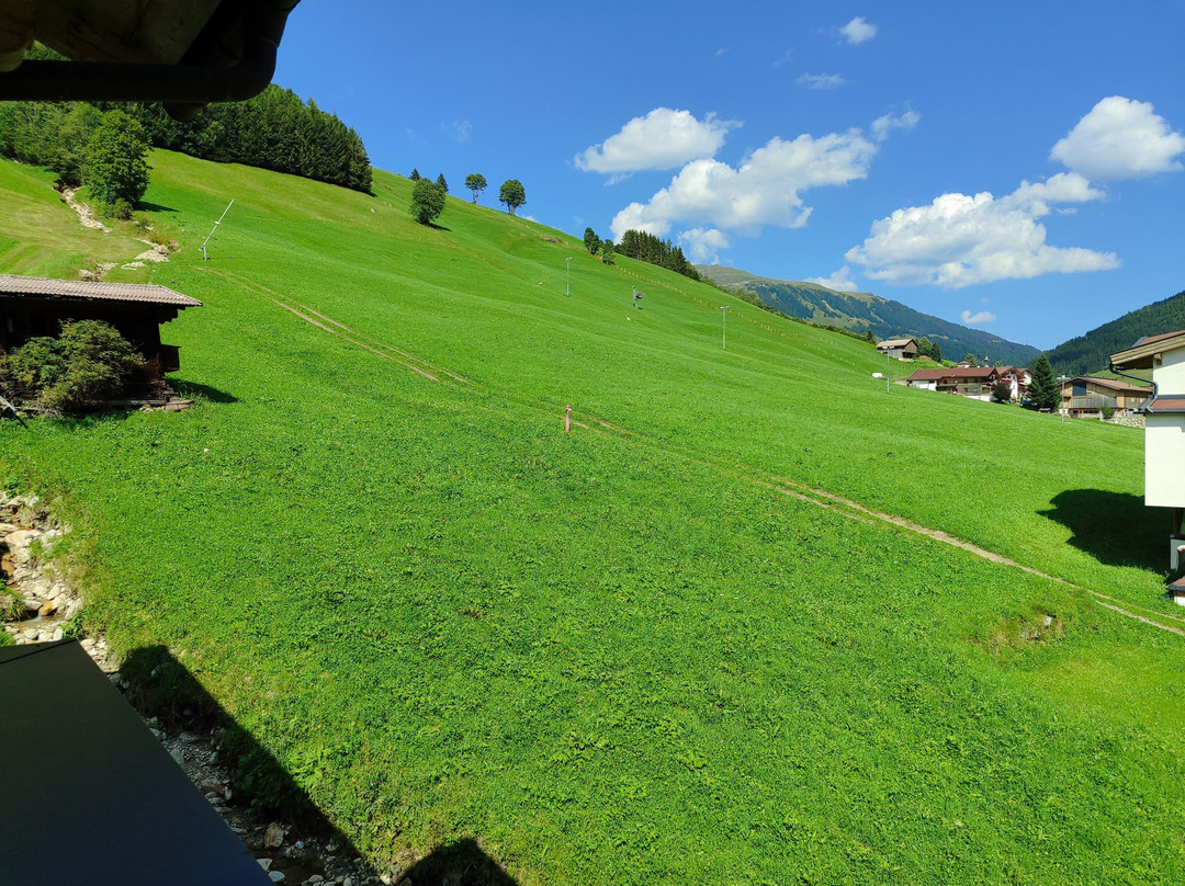 Hotel Garni Hanslerhof " Urlaub am Bauernhof "