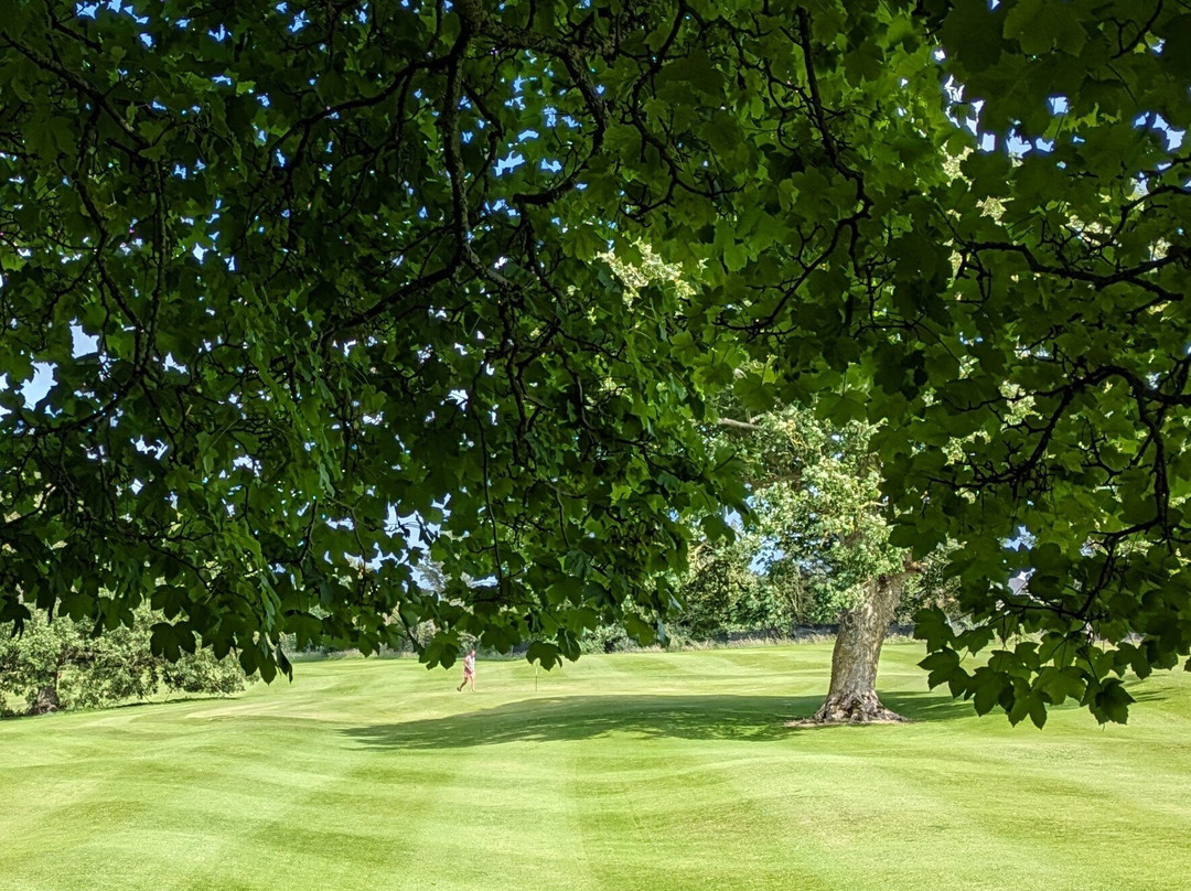 Ardfert Pitch And Putt Course-Ardfert必去景点