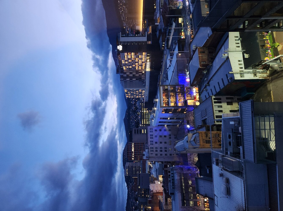 Vibe Hotel Hobart主图